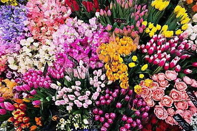 《暗黑破坏神2：重制版》2.4版本赛季天梯功能宣布延期